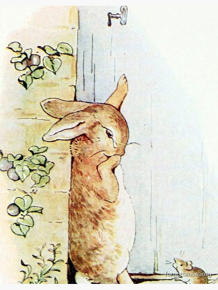 Peter Asks a Mouse the Way to the Gate - Beatrix Potter Art Print for Sale  by forgottenbeauty