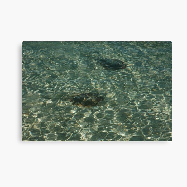 Item preview, Ningaloo, Cape Range... designed and sold by Richard  Stanley.