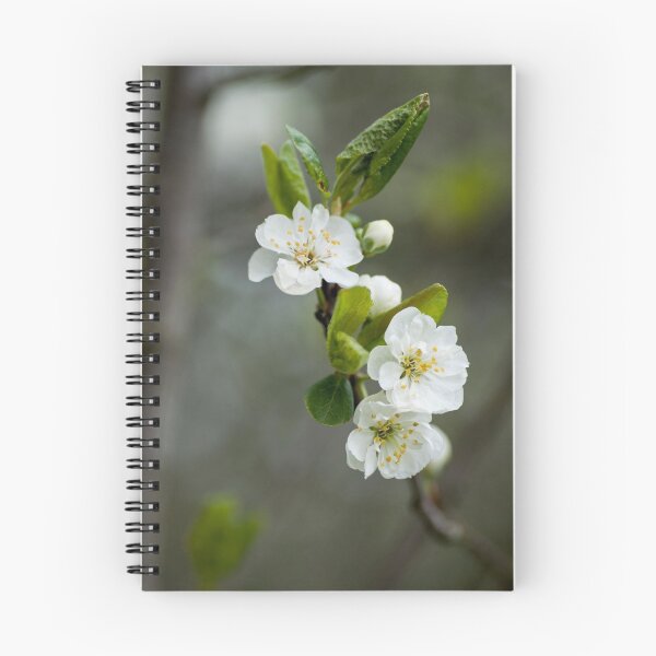 Aperçu de l'œuvre Blossoming tree créée et vendue par Hilda Rytteke.