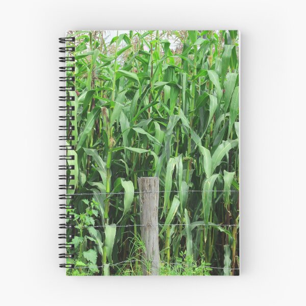 Item preview, Barbed Wire Fence and Corn Field designed and sold by rhamm.