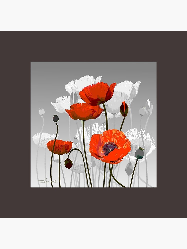 POPPIES by terazzo