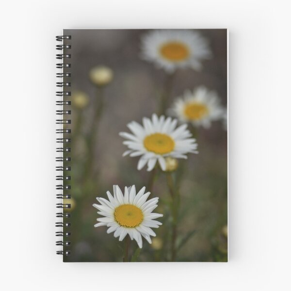 Item preview, 4th in line designed and sold by Steve winters Photography.