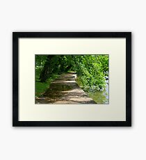 Washington trail Framed Print