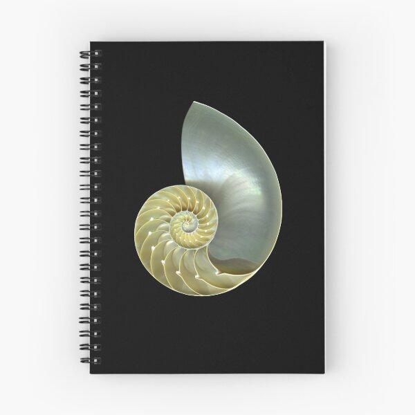 Item preview, Nautilus A designed and sold by scankunst.