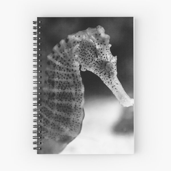 Aperçu de l'œuvre Sea Horse in Black and White créée et vendue par AlixCollins.