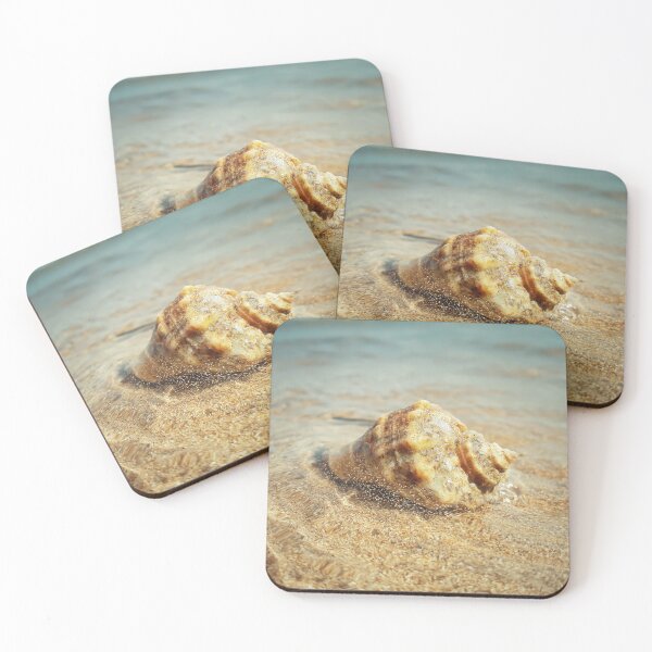 Item preview, sea whelk designed and sold by psychoshadow.