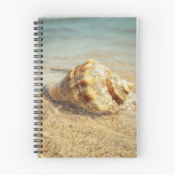 Item preview, sea whelk designed and sold by psychoshadow.