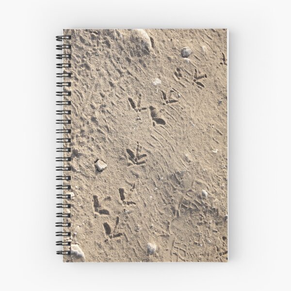 Item preview, Birds footprints on sand designed and sold by mrivserg.