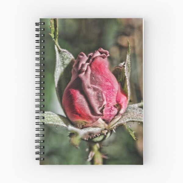Item preview, Rose Bud designed and sold by bloomingvine.