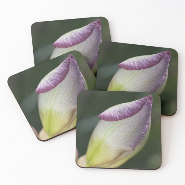 Item preview, Iris Buds Reflect designed and sold by Joy Watson - Natural Light Photography .