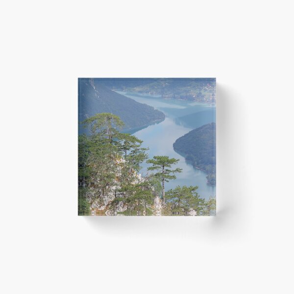 Item preview, Pine trees on Tara mountain Serbia landscape designed and sold by goceris.