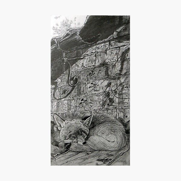 Item preview, Sleeping Mr Fox designed and sold by Robert David Gellion.