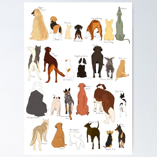Artikel-Vorschau von A-Z Dog Butts, designt und verkauft von GiddingsGifts.