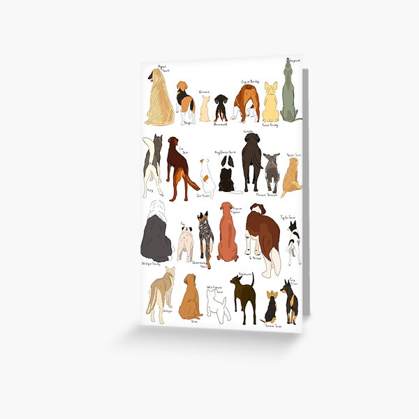A-Z Dog Butts Greeting Card