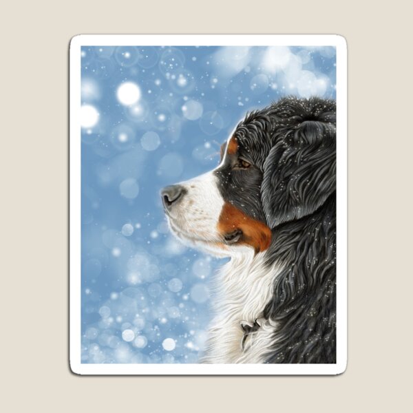 Bernese Mountain Dog - Snow Is Falling Magnet