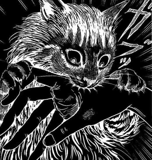 "Cat Junji Ito Bite" Posters by AllergicAlien | Redbubble