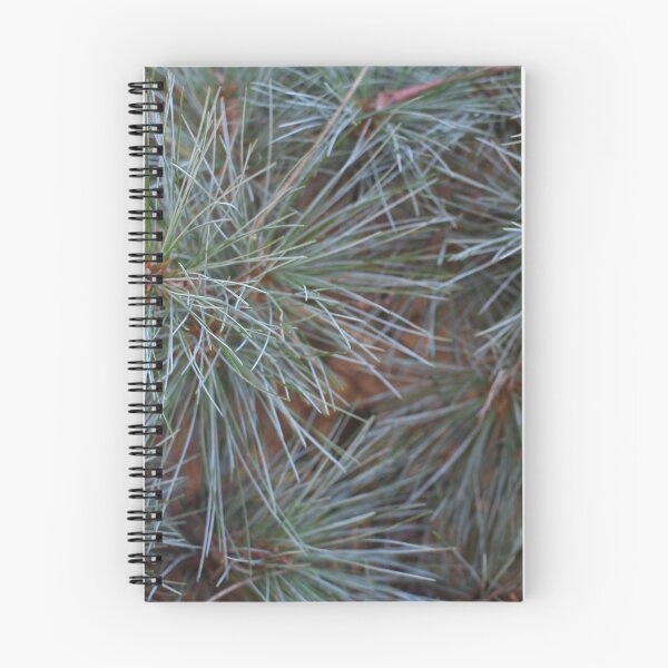 Item preview, Fir Needles 4 designed and sold by Logan McCarthy.