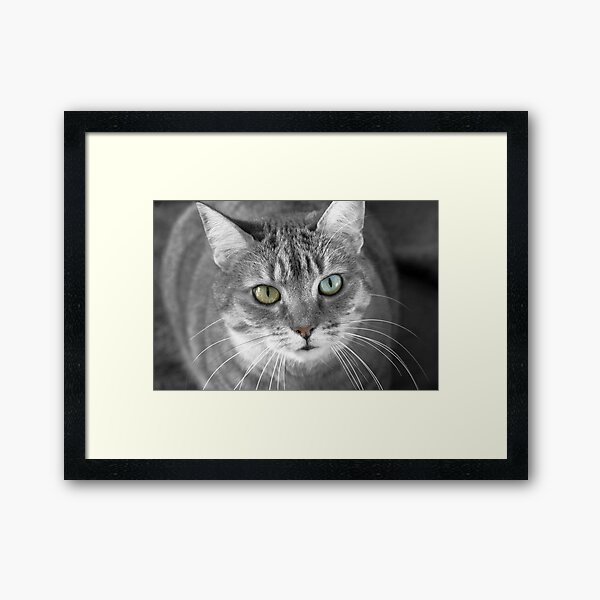 Item preview, Did Someone Mention Dinner? asks the Tabby Cat designed and sold by simpsonvisuals.