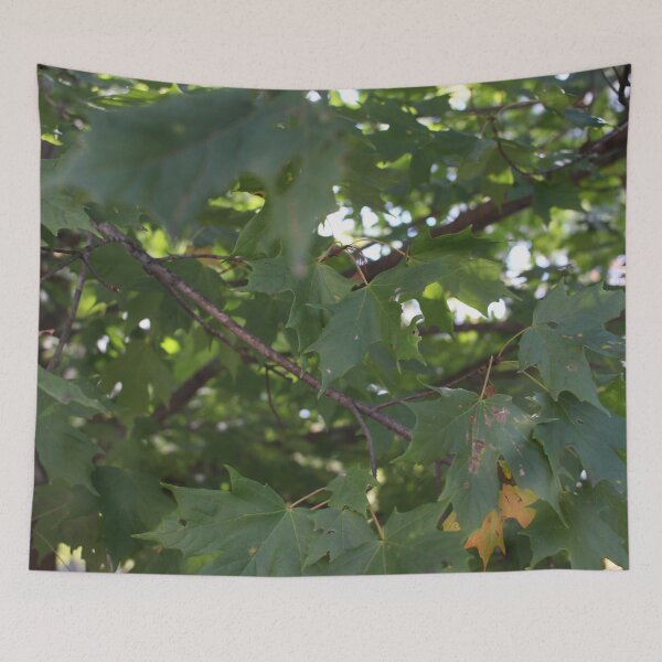Item preview, Leaves 6 designed and sold by Logan McCarthy.
