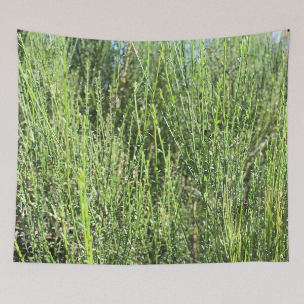 Item preview, Thin Stalks 1 designed and sold by Logan McCarthy.