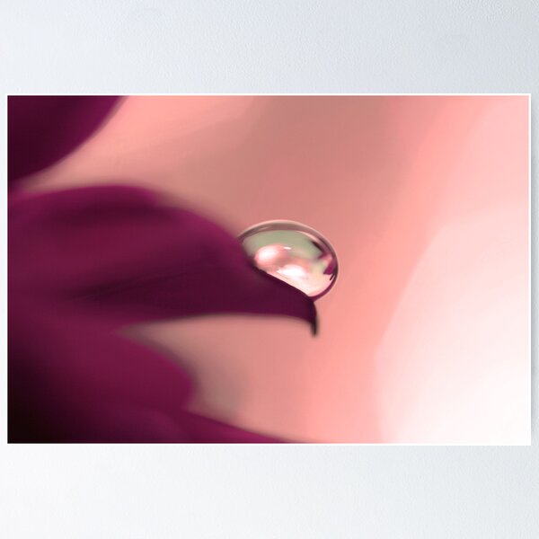 Item preview, Peachy designed and sold by Laura Towersey.