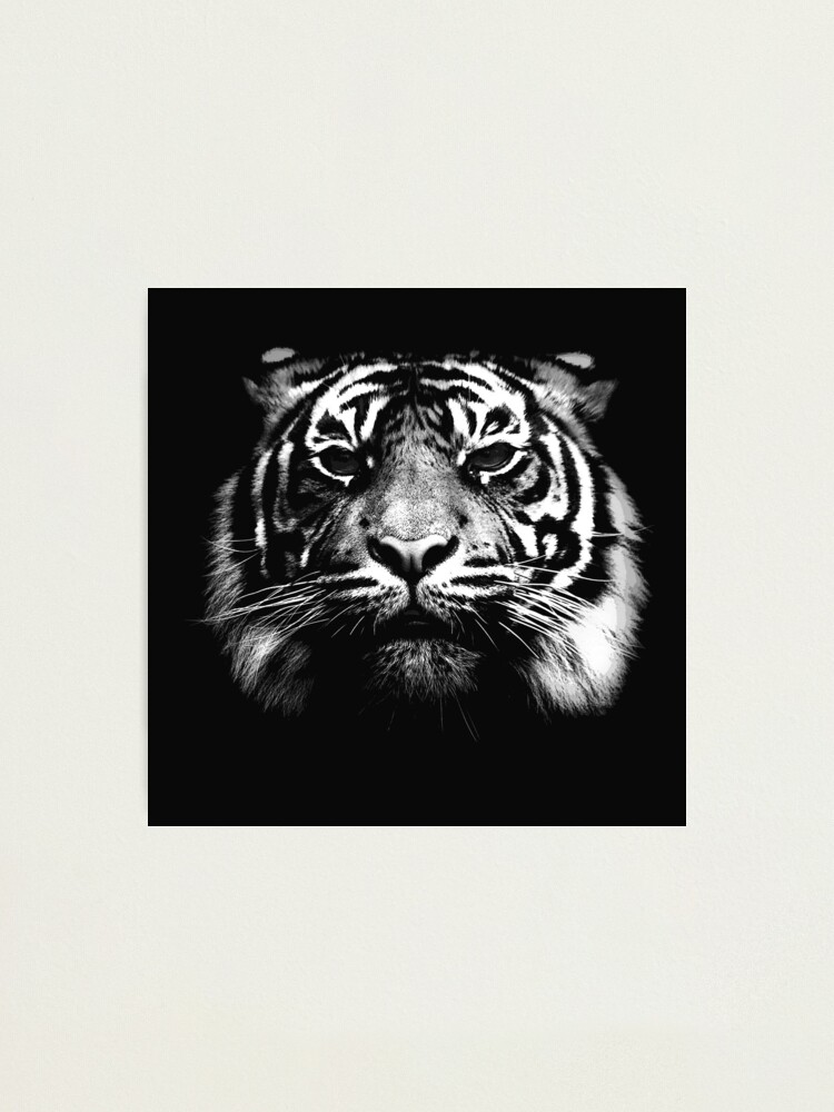 Alternate view of Illustrated Tiger Photographic Print