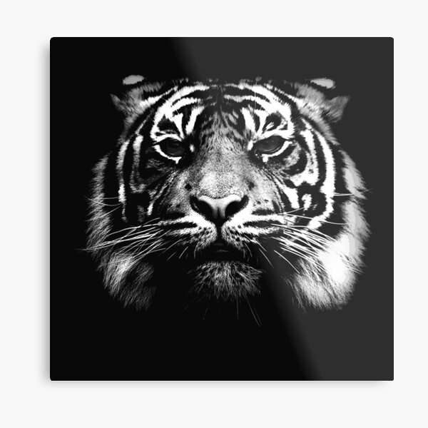 Illustrated Tiger Metal Print