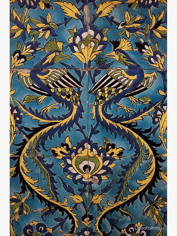 "Iranian Birds" Framed Art Print by Lobotommy Redbubble