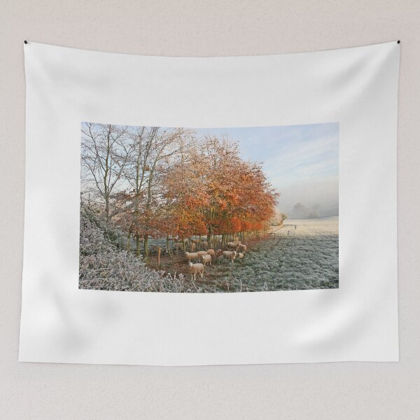 Item preview, Baa, It's Cold Out Here! designed and sold by Geoff Carpenter.