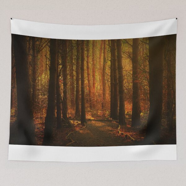Item preview, Enchanted Forest designed and sold by Paul Hull.