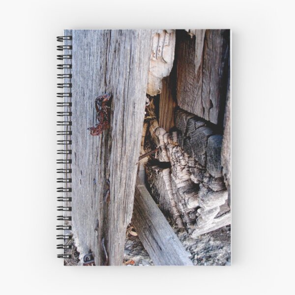 Aperçu de l'œuvre Barn Wood créée et vendue par AlphaEyePhoto.