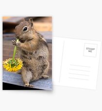CHIPPY Postcards
