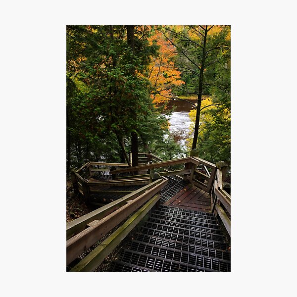 116 stairs down to the Tahquamenon River Gorge, Tahquamenon Falls State Park, Michigan Photographic Print