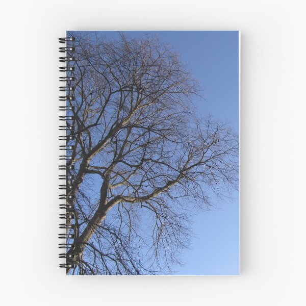 Item preview, Bare and Blue designed and sold by Carol Bleasdale.