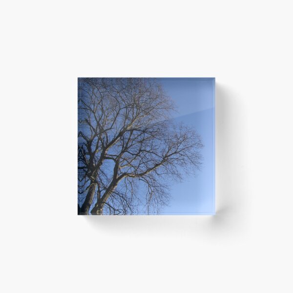 Item preview, Bare and Blue designed and sold by Carol Bleasdale.