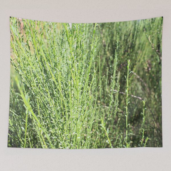 Item preview, Thin Stalks 3 designed and sold by Logan McCarthy.