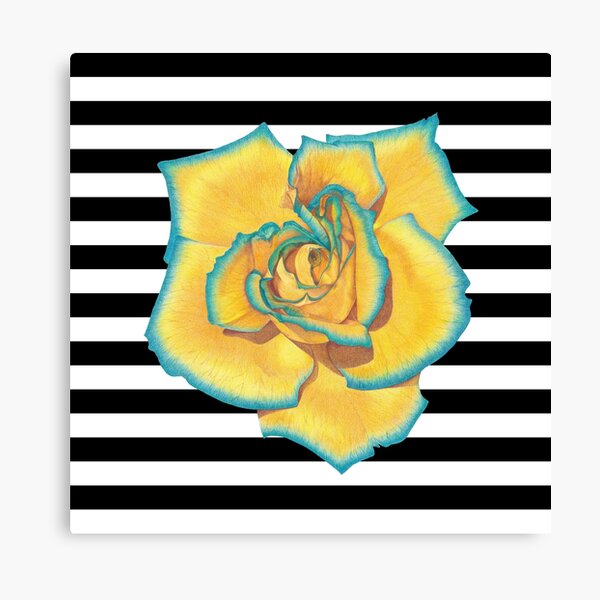 Yellow and Turquoise Rose on Stripes Canvas Print