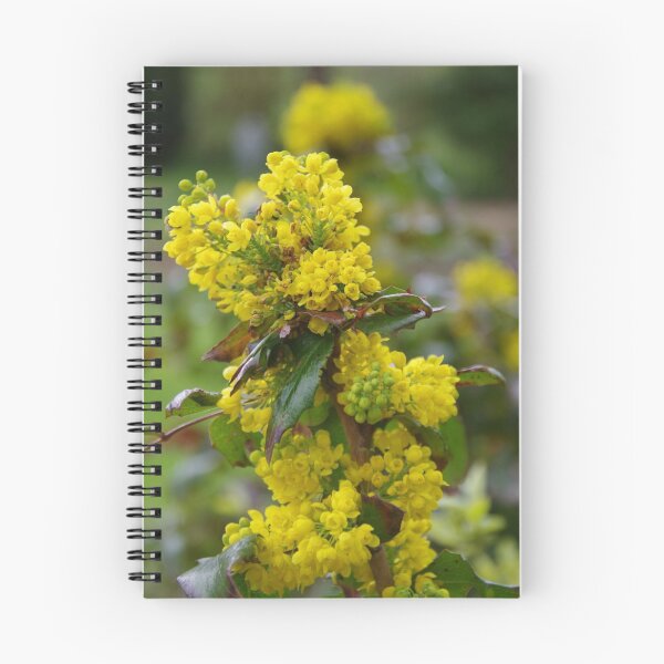 Item preview, Mahonia wagneri undullta designed and sold by lezvee.