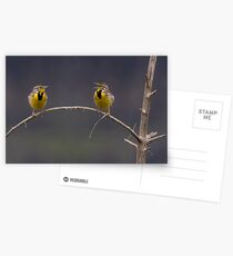 Nag Nag Nag! Postcards