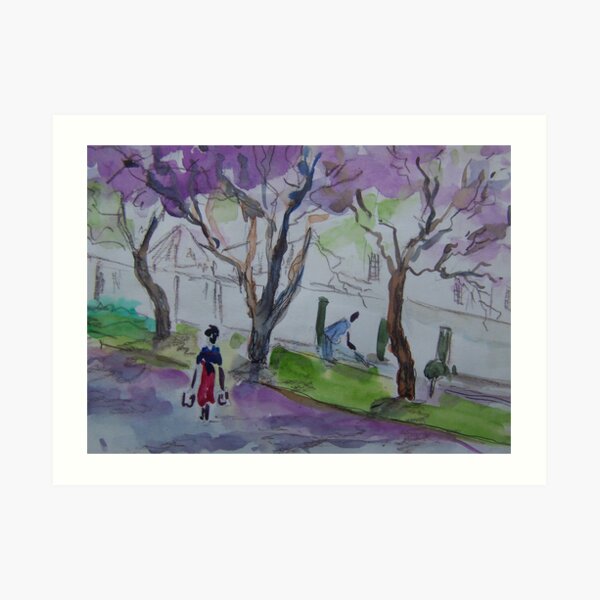 Jacarandas in Harare Art Print
