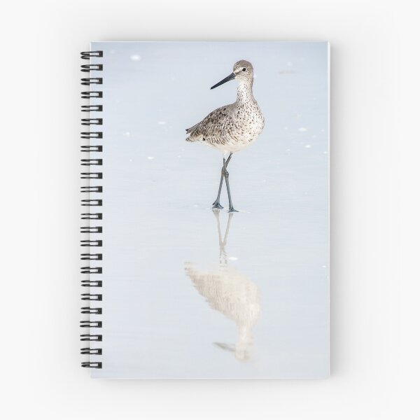 Item preview, Walking Willet designed and sold by Eivor Kuchta.