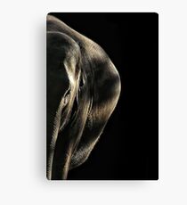 Expecting? Canvas Print