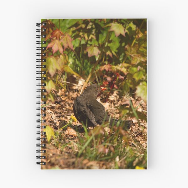 Item preview, Mrs Blackbird designed and sold by Jon Lees.