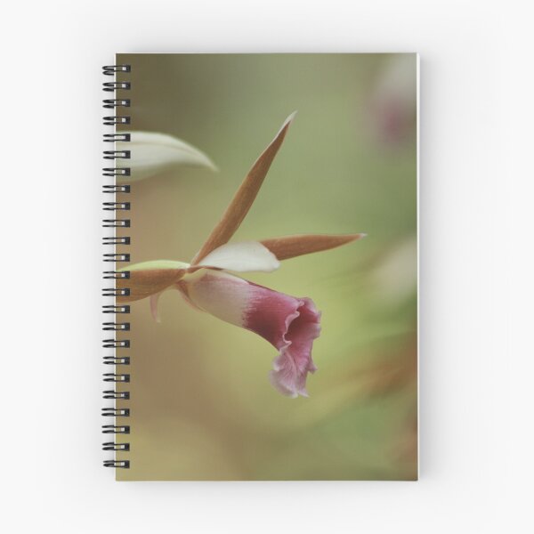 Item preview, Beautiful orchids of bok tower botanical gardens  designed and sold by miradorpictures.