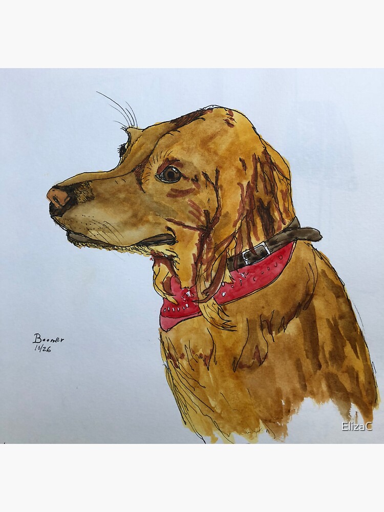 Boomer by ElizaC