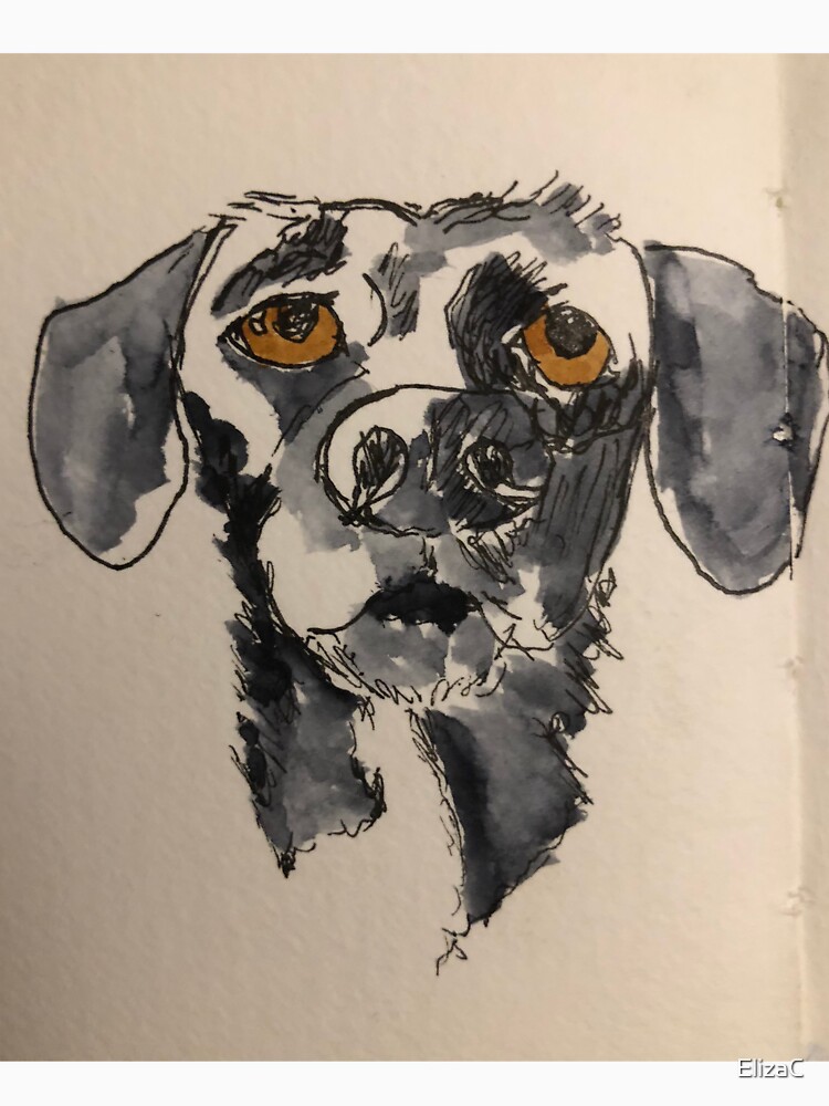 Murphy by ElizaC
