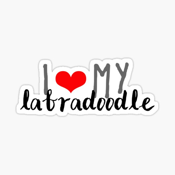 i love my labradoodle Sticker