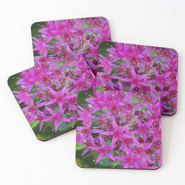 Item preview, Winter Garden 12 pink stars designed and sold by ellenhenry.
