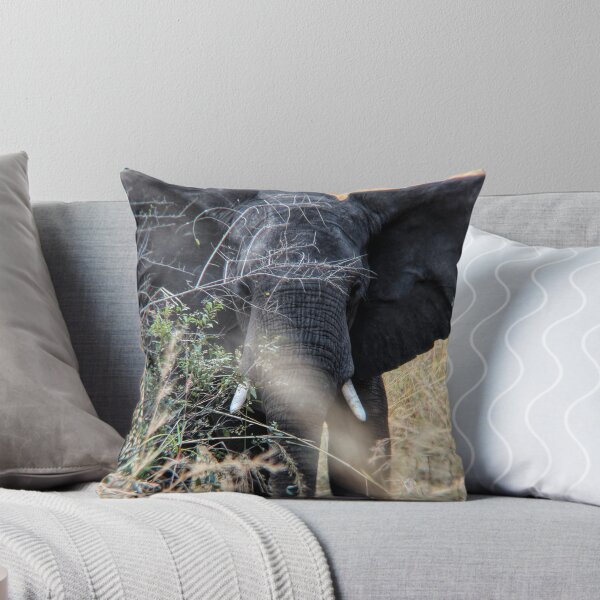 Item preview, Young African elephant in the savannah designed and sold by 8kPzGZjJ20Rj.