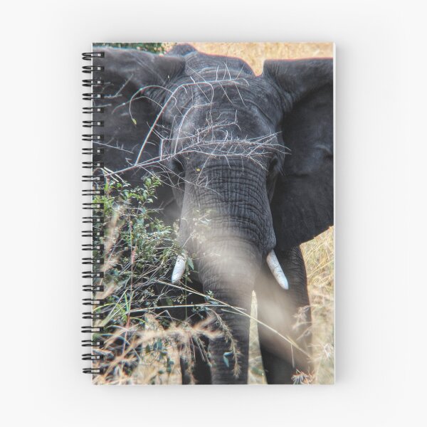 Item preview, Young African elephant in the savannah designed and sold by 8kPzGZjJ20Rj.